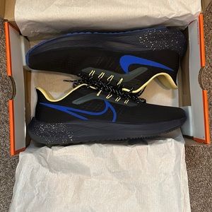 Nike air zoom Pegasus 39